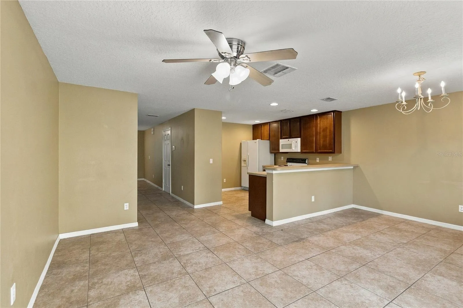 Entertaining Area/Kitchen
