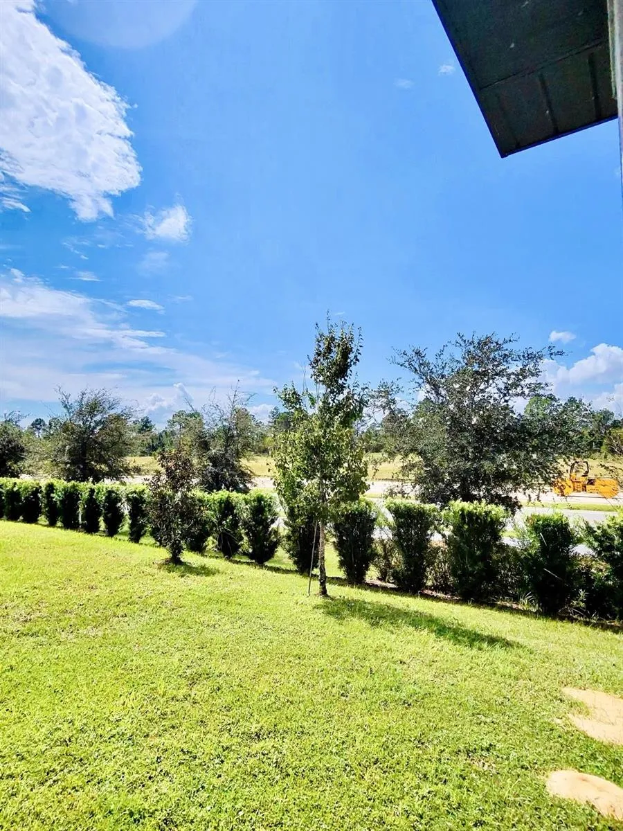 Back Yard Boundary