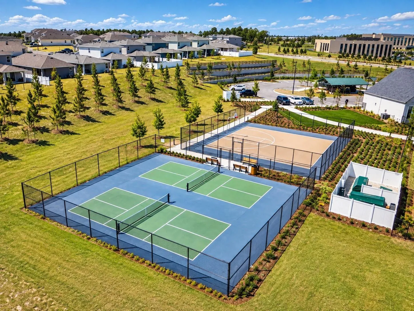 Tennis and Basketball