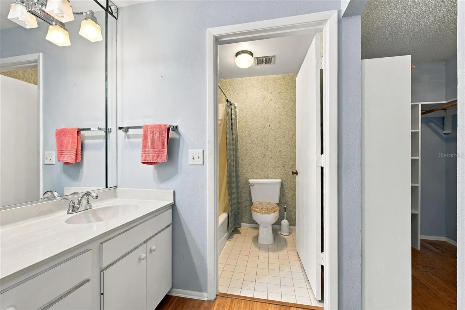 Master vanity area