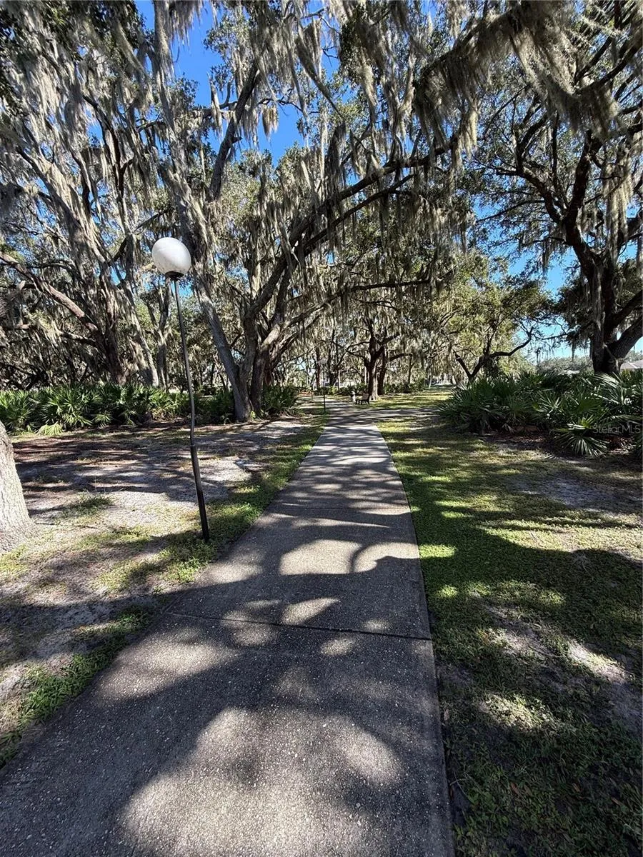 Shaded Walking Path