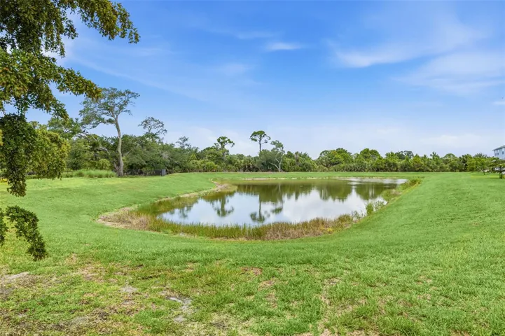 Pond view
