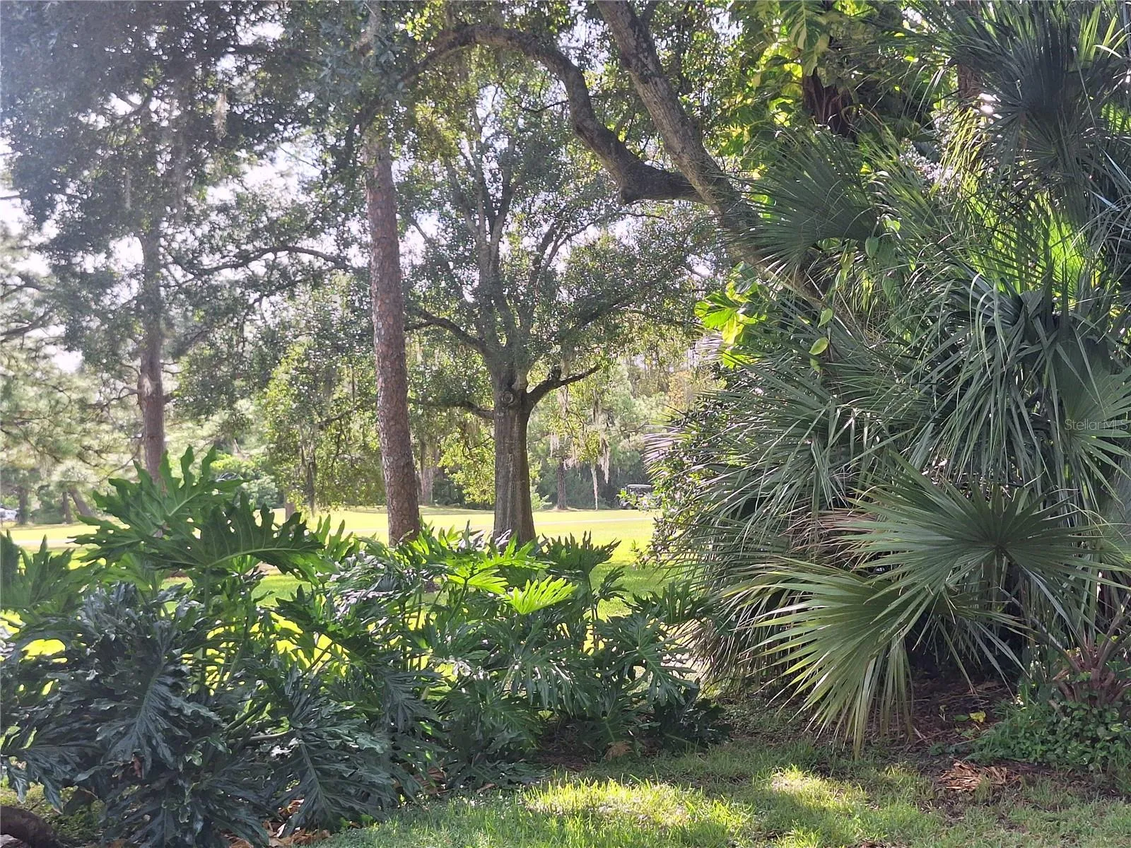 Glimpse of golf course