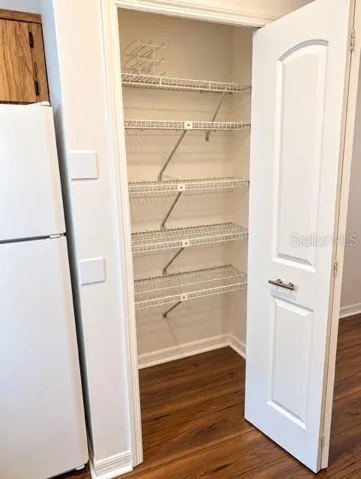 Spacious pantry in kitchen