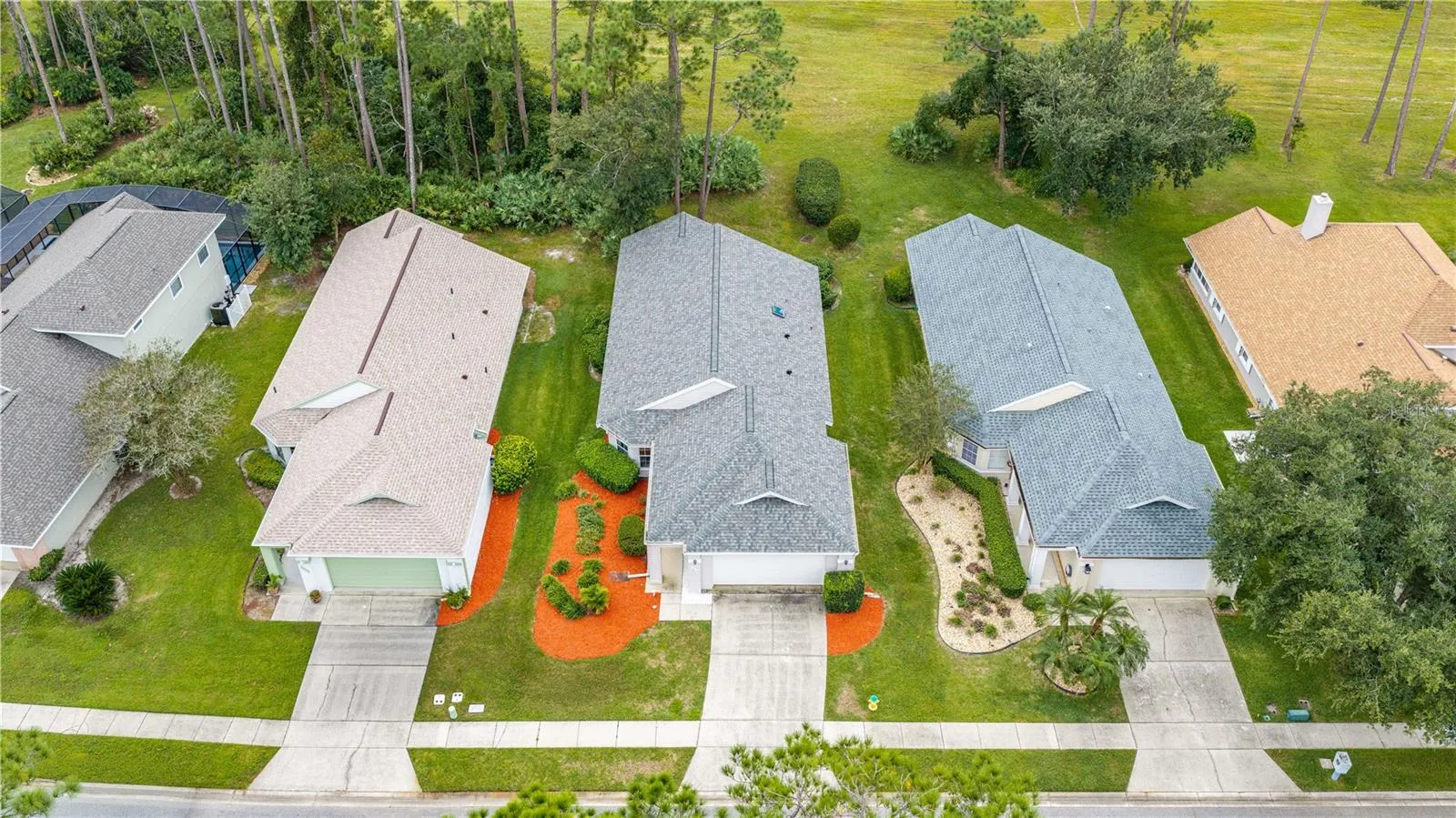 New Roof 2024