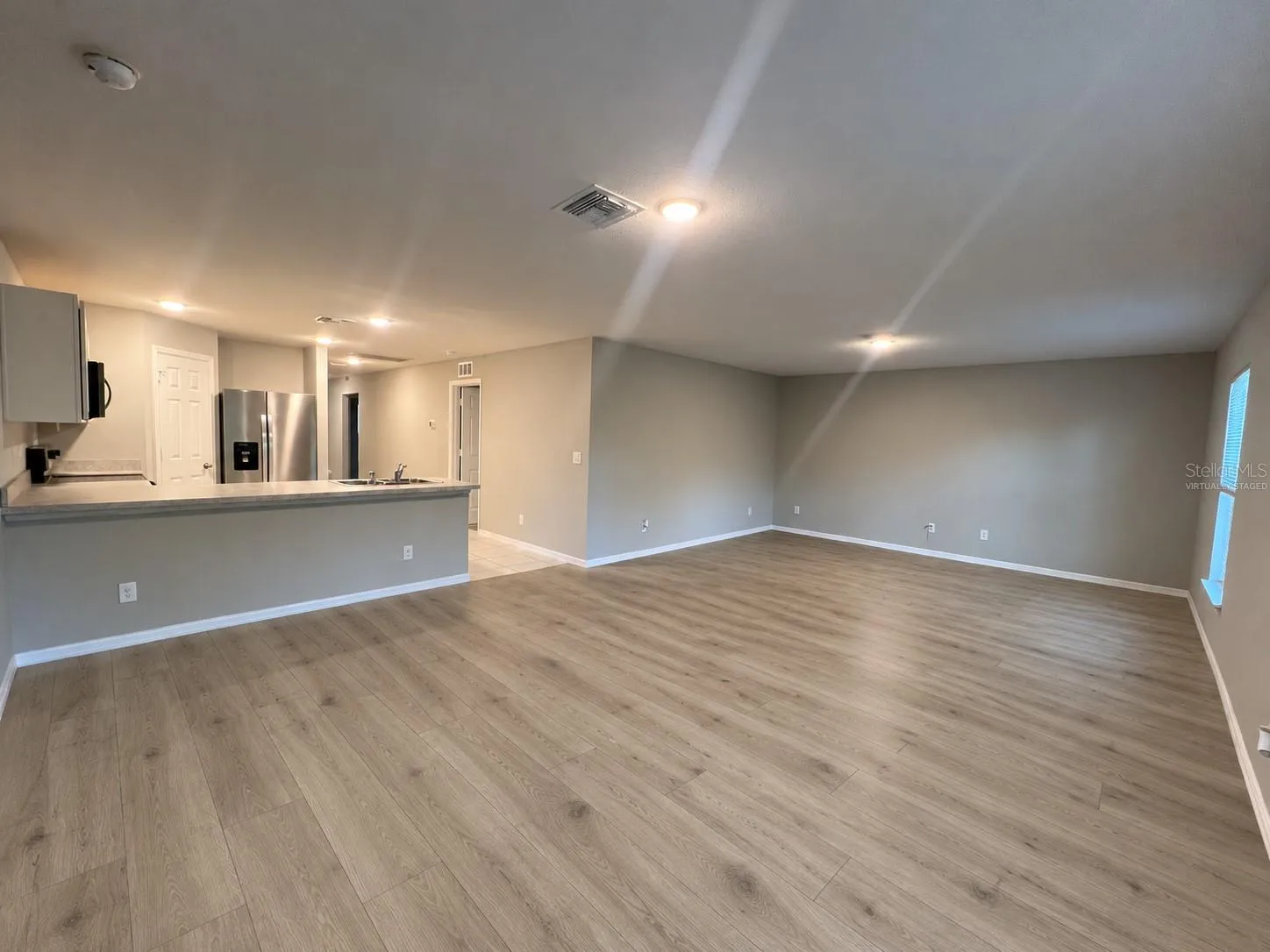 Living room and kitchen