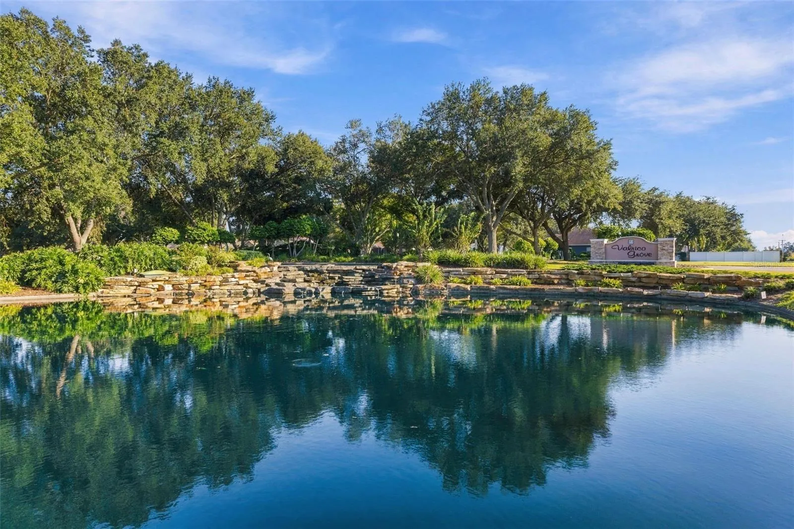Valrico Grove! Just Beautiful!