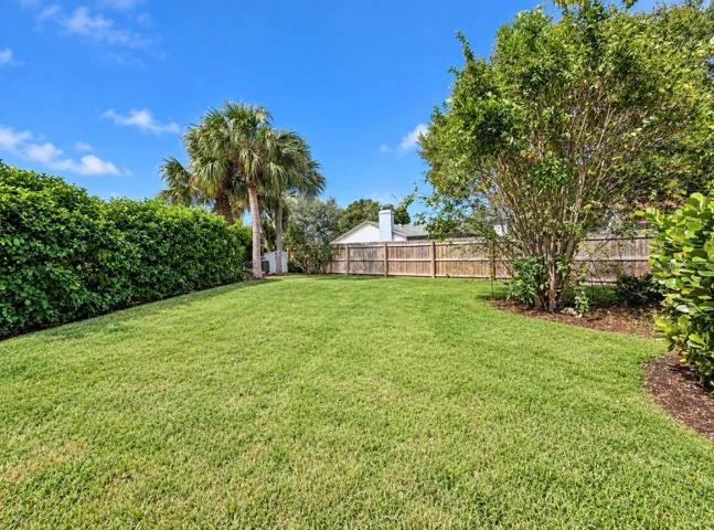 extremely large backyard