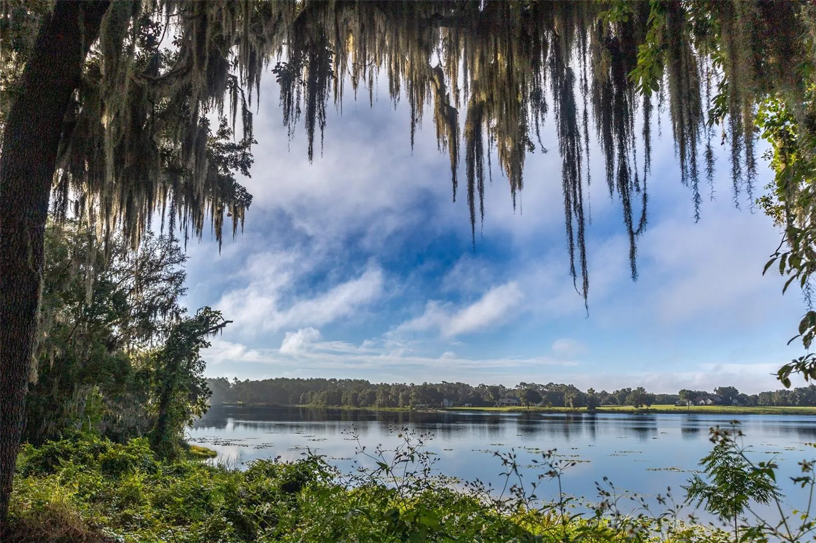 Lake view from west shore