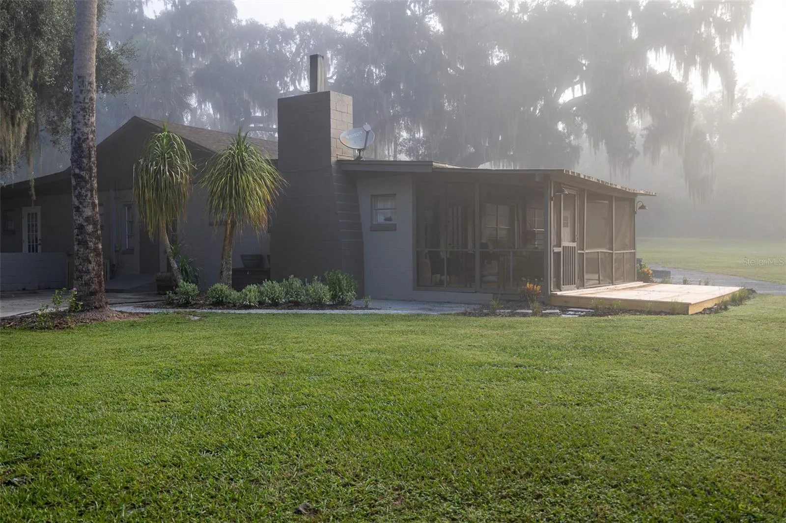 Foggy morning