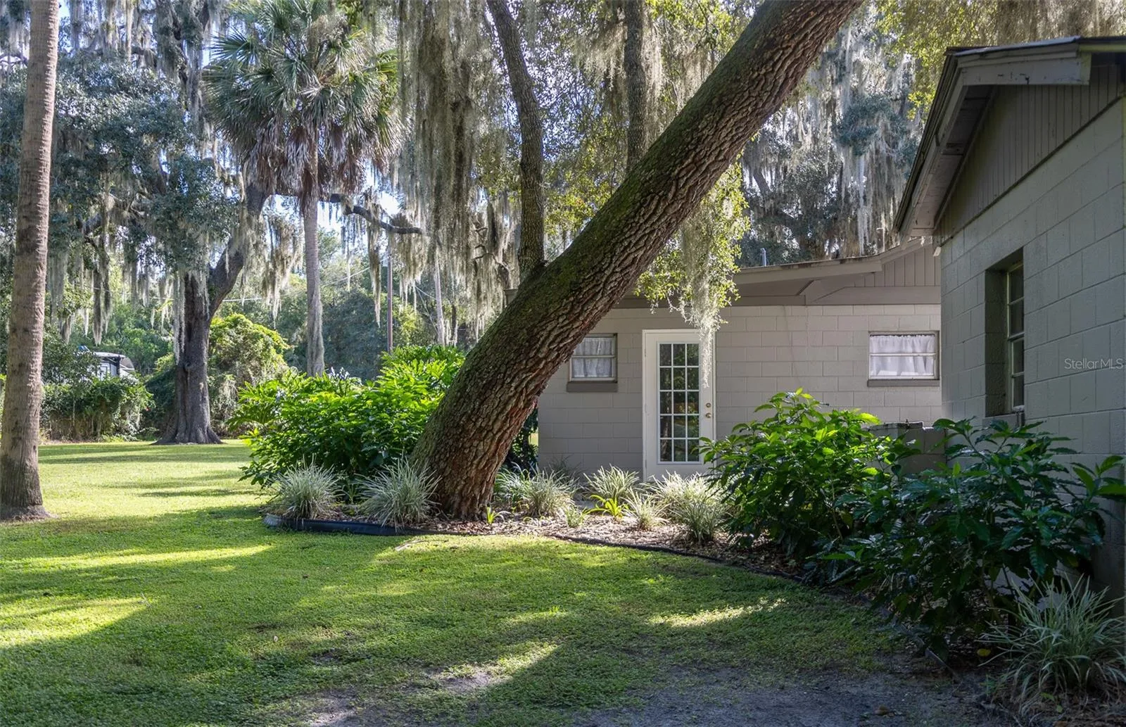 Rear side entrance and backyard