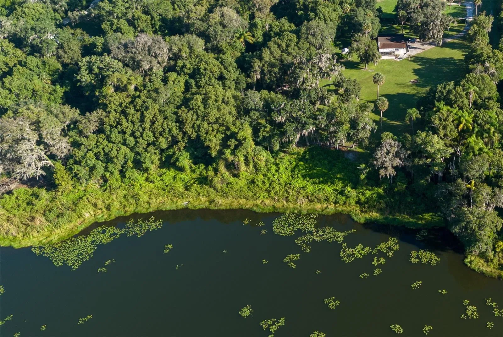 Arial view of property and shoreline