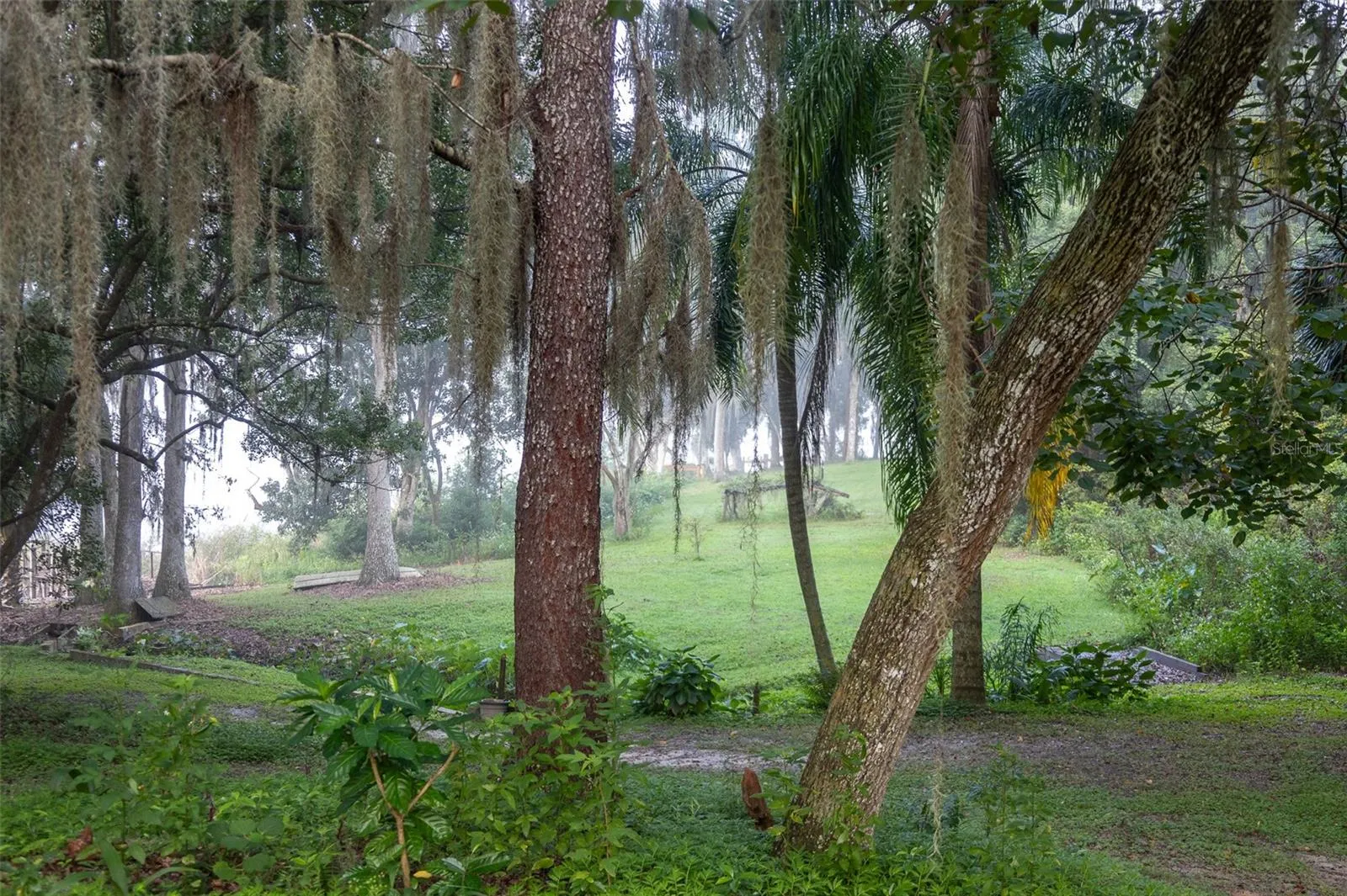 View through trees overlooking stream and dock