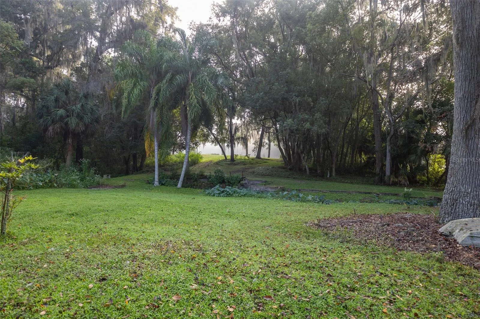 View from westside of property across stream.