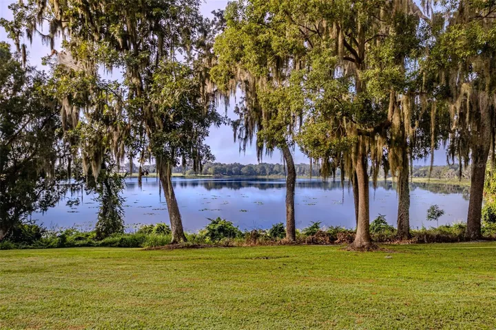 Lake view