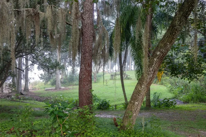 View through trees overlooking stream and dock