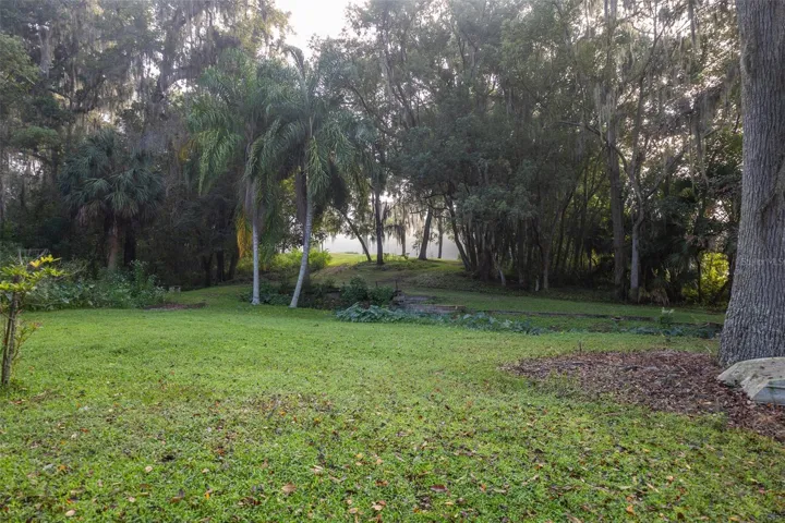 View from westside of property across stream.