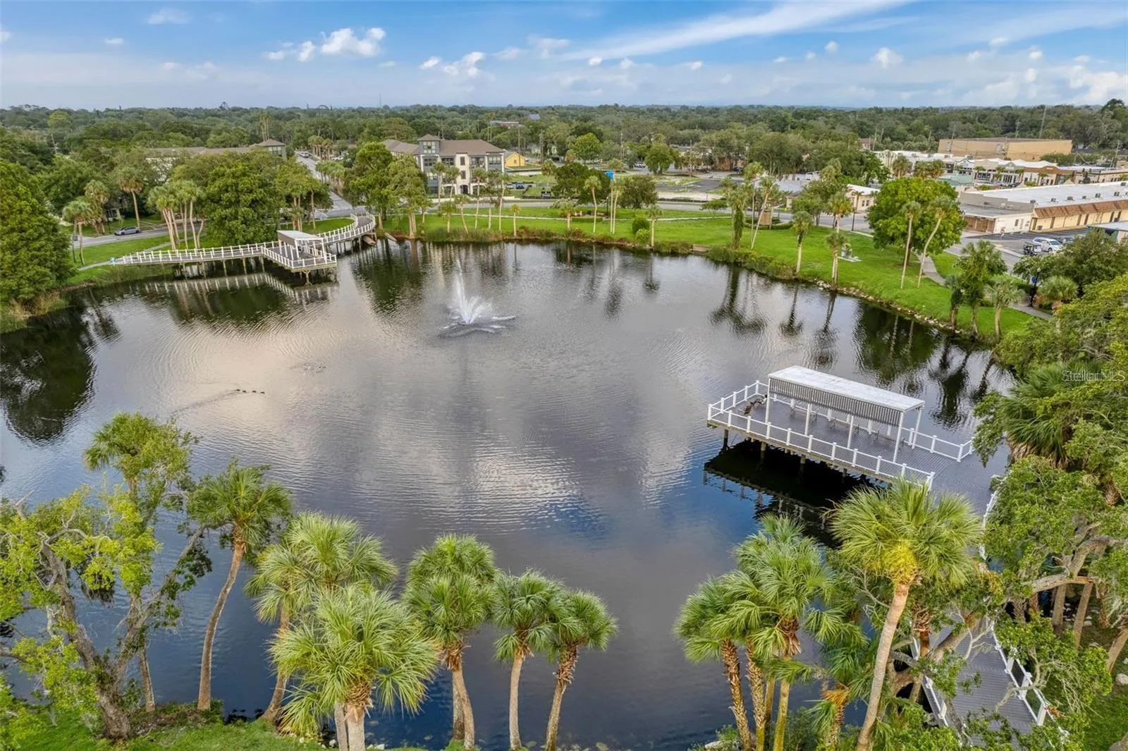 Orange Lake at Sims Park Downtown New Port Richey - Area Community Photo