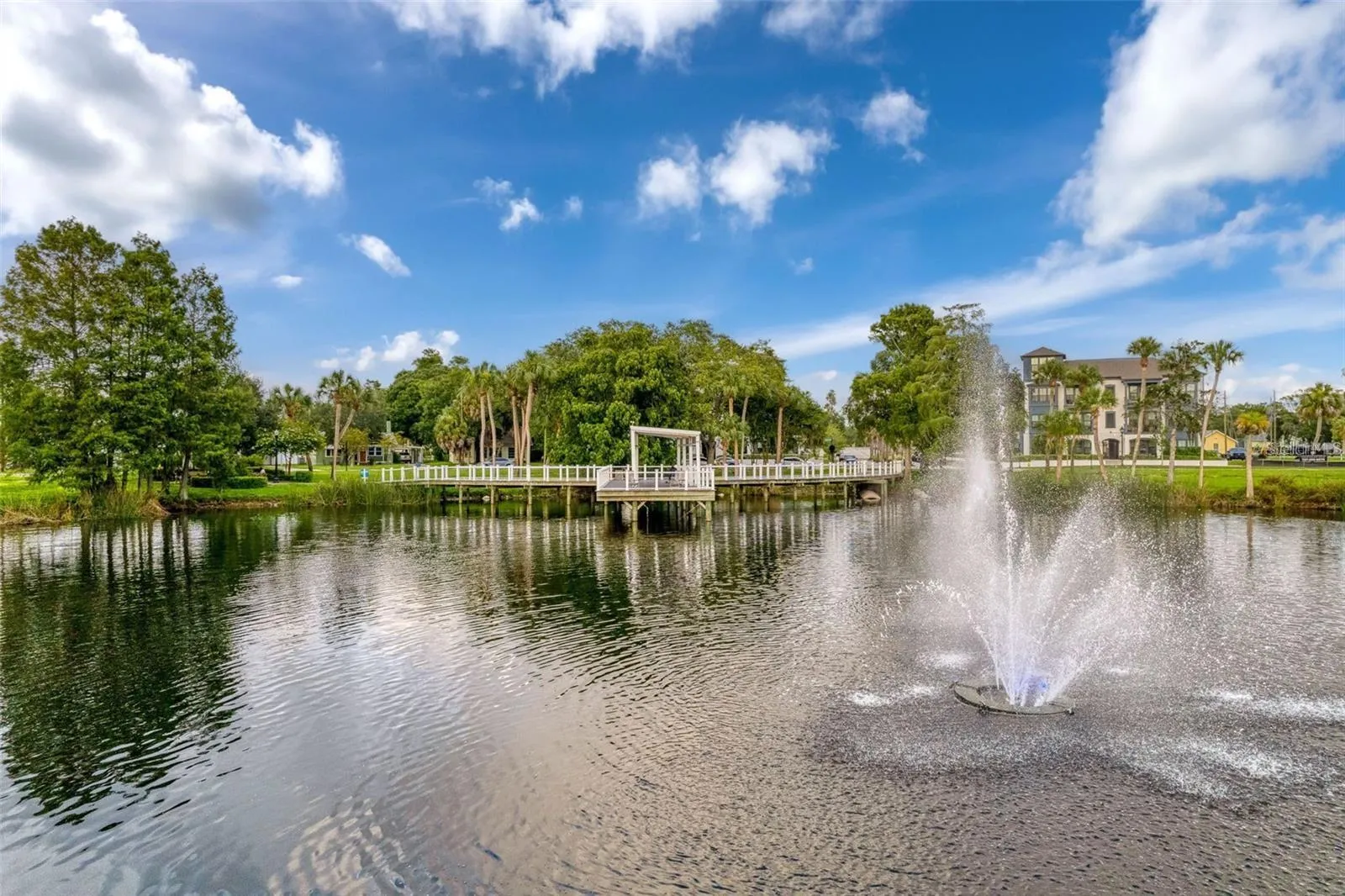 Orange Lake at Sims Park Downtown New Port Richey - Area Community Photo