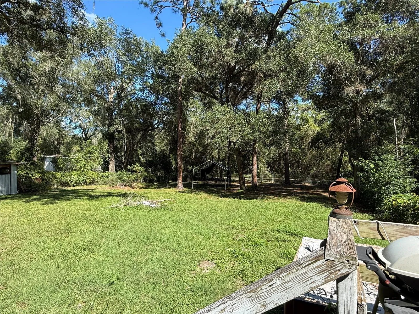 back yard