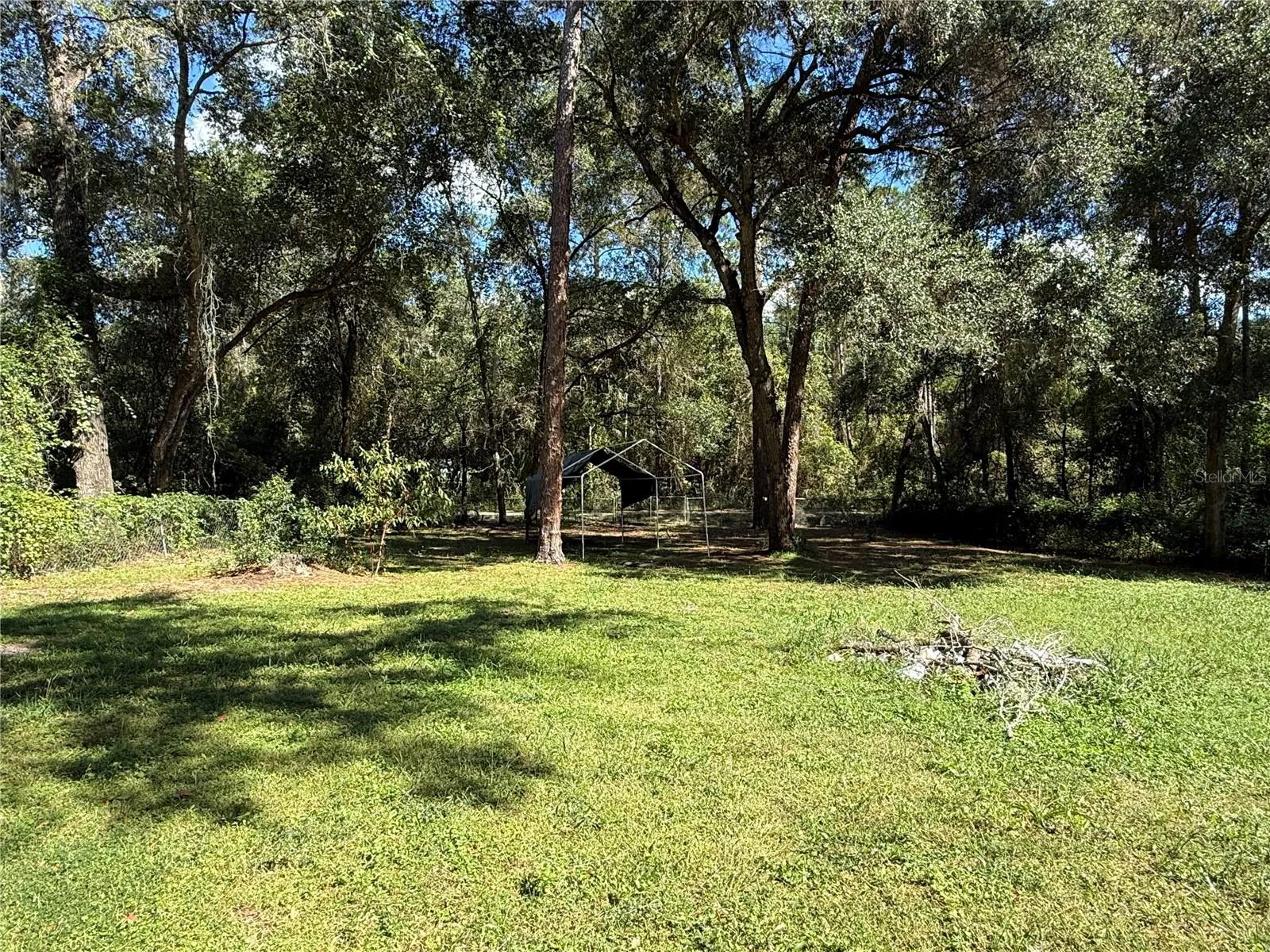 Back yard