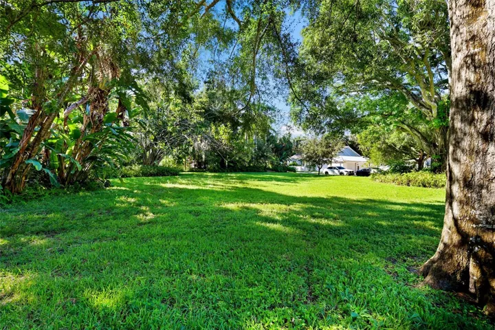 Separate Lot that can be purchased