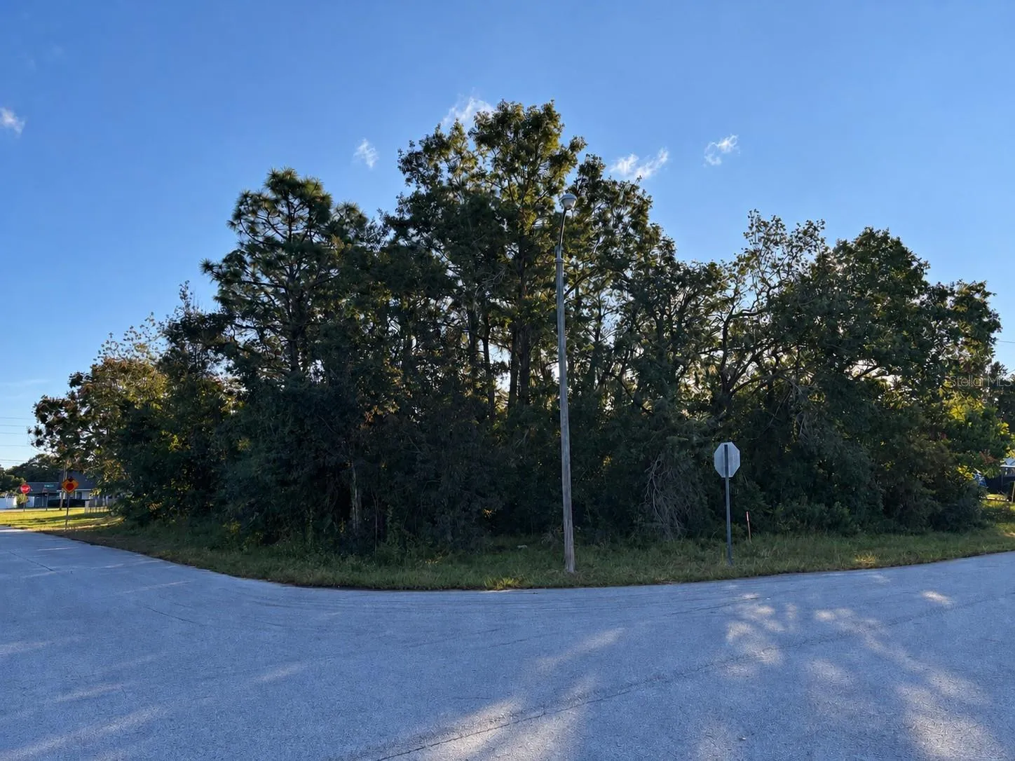 Beautiful Corner Lot