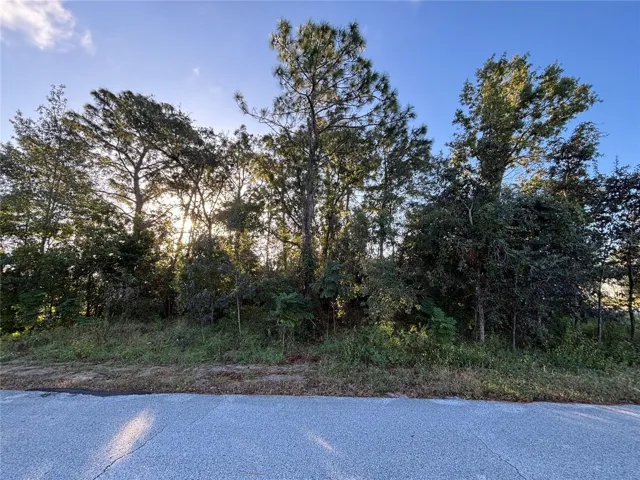 Beautiful Corner Lot