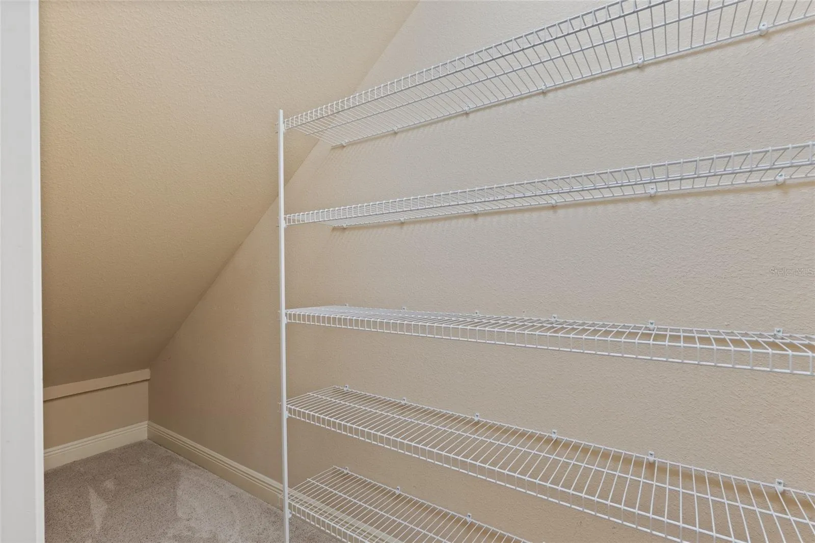 Closet Under Stairway