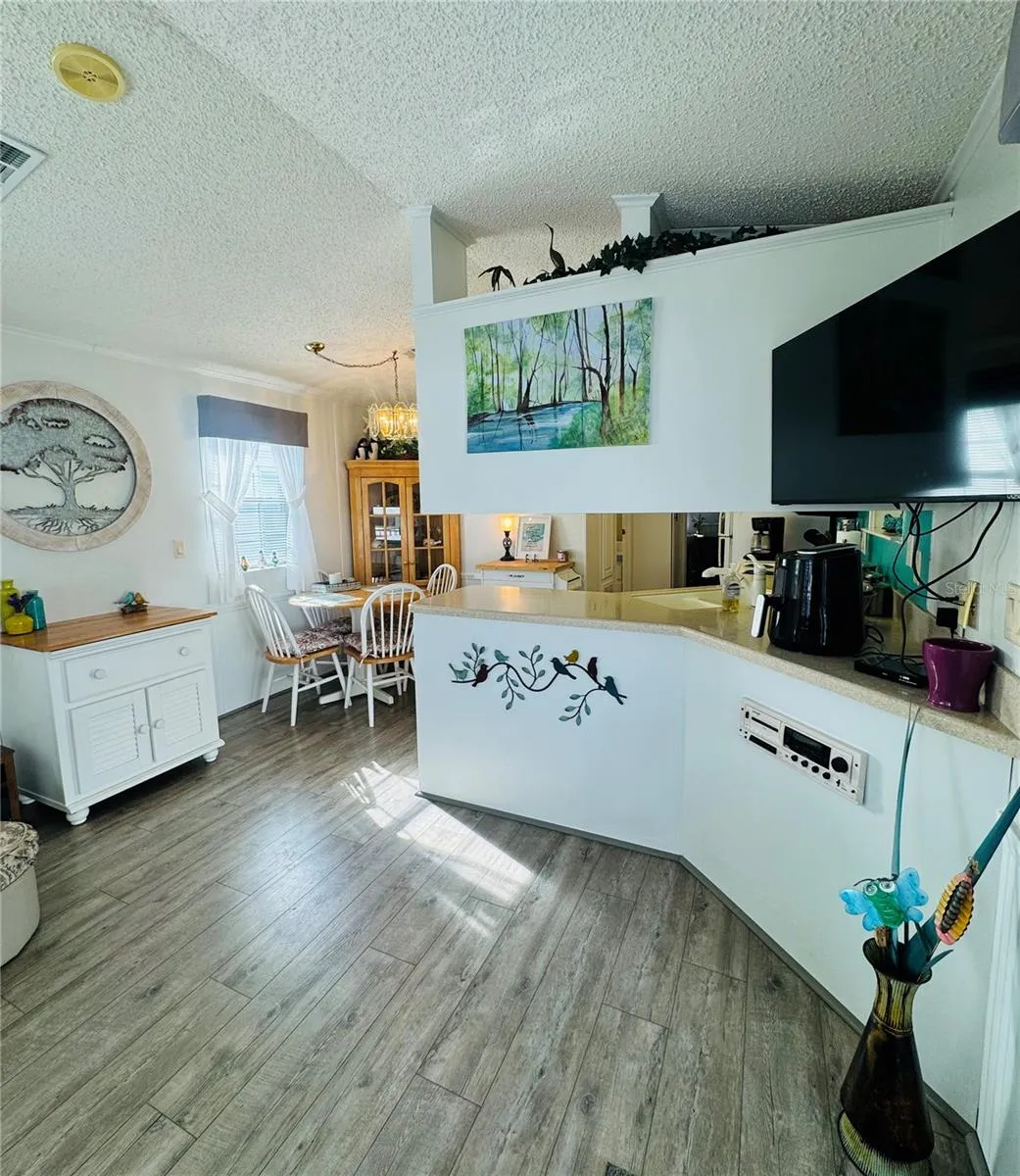 Living - Kitchen Area