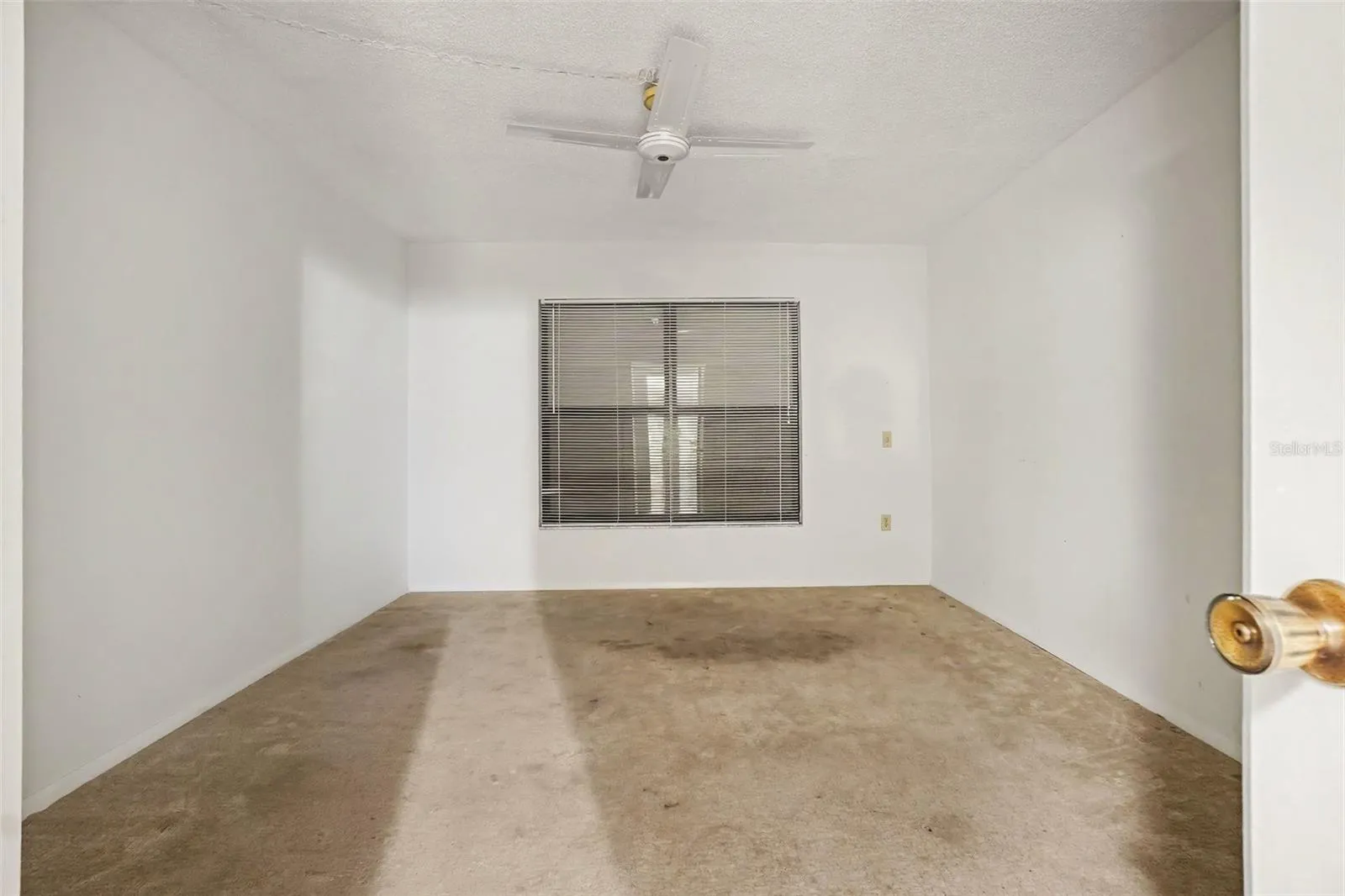 Guest bedroom with ceiling fan, carpet, and window with blinds for natural light.