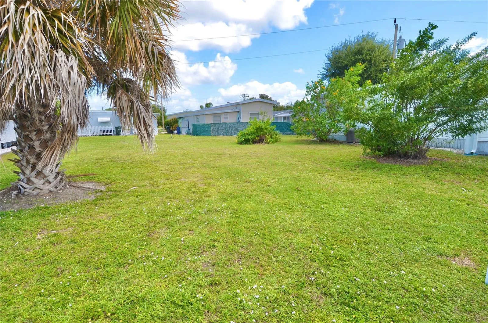Lot View