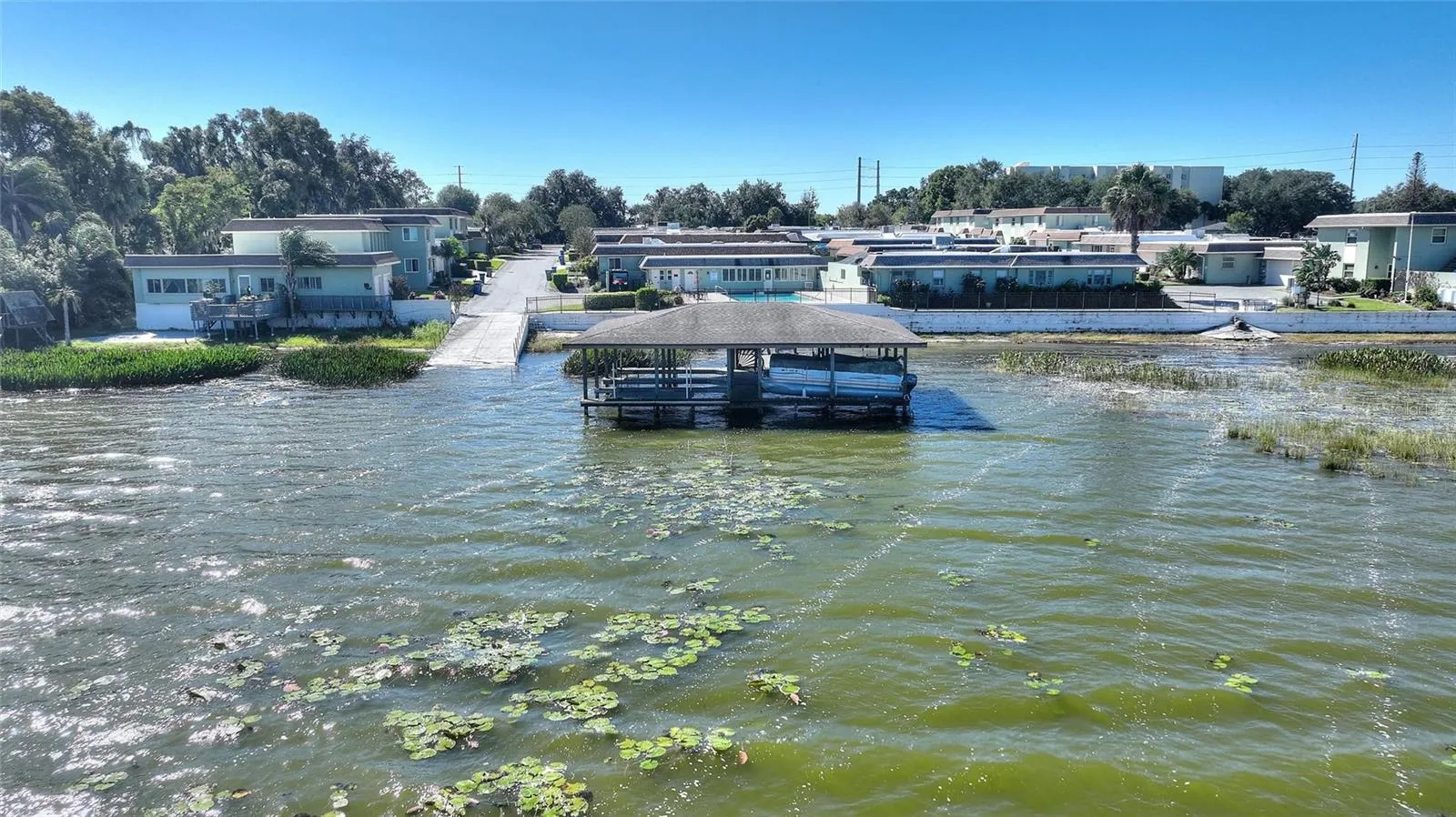 COMMUNITY FROM LAKE