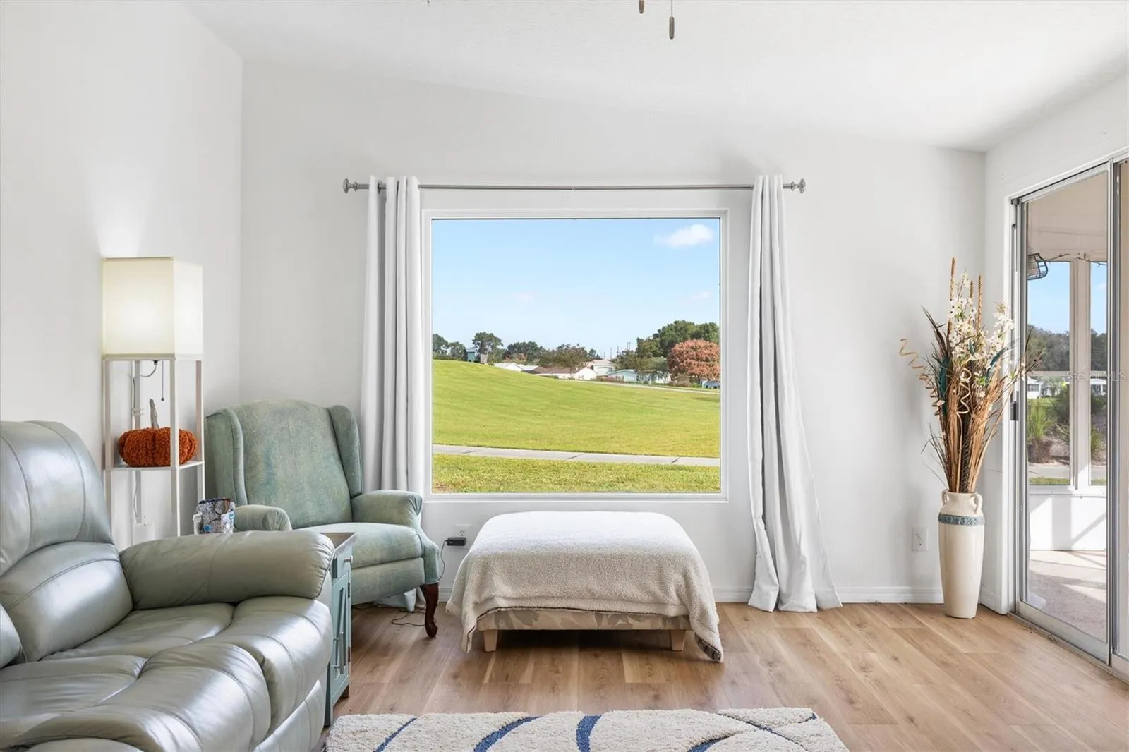 View from Living Room
