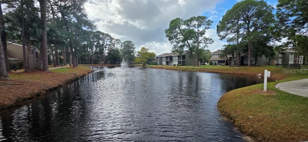 One of the Ponds in middle of walking trail
