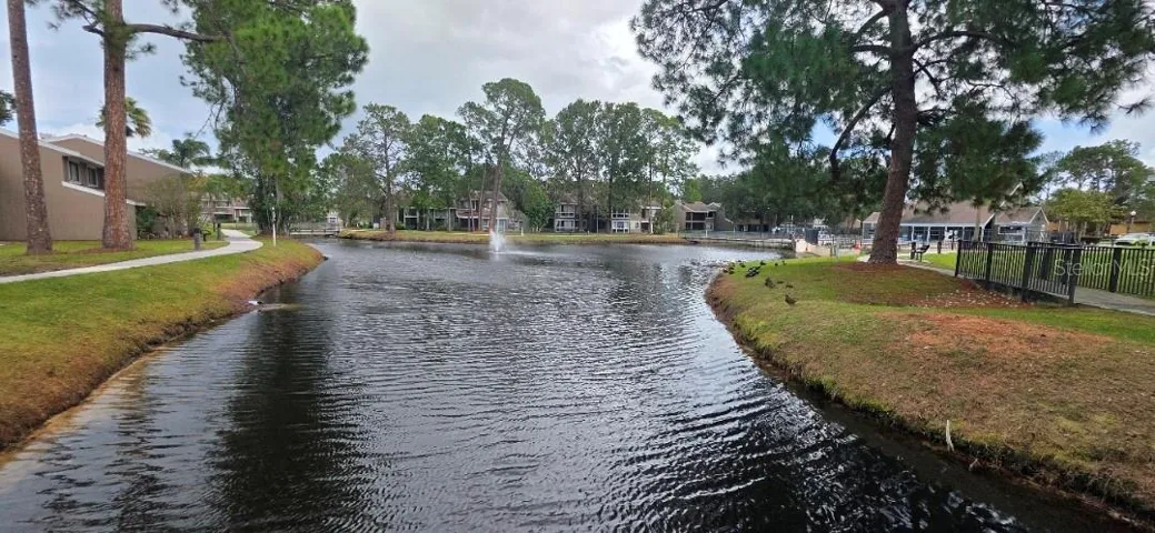 One of the Ponds in middle of walking trail
