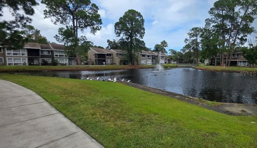 Walking Trail