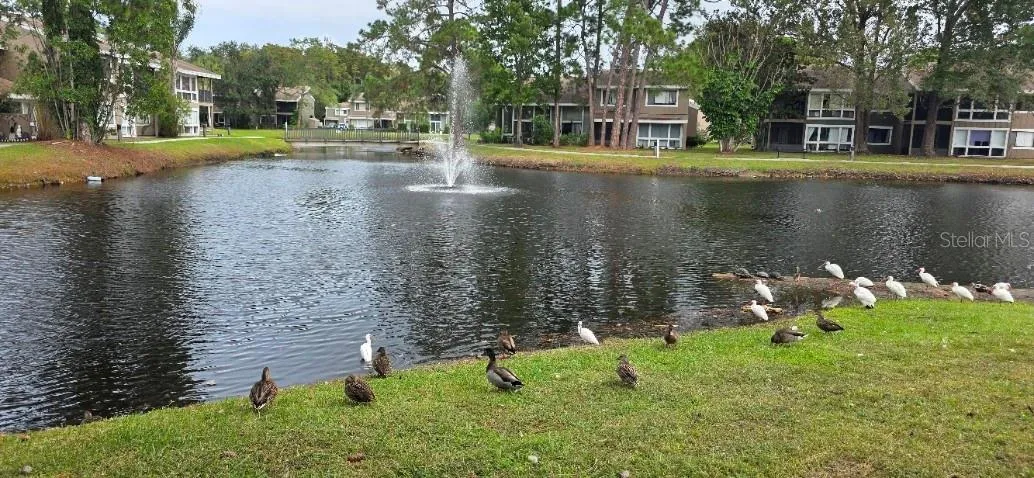 Walking trail