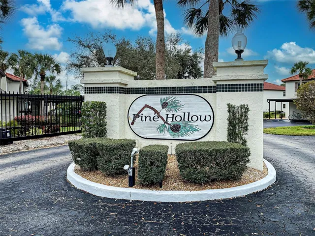 PINE HOLLOW - HIDDEN GEM!