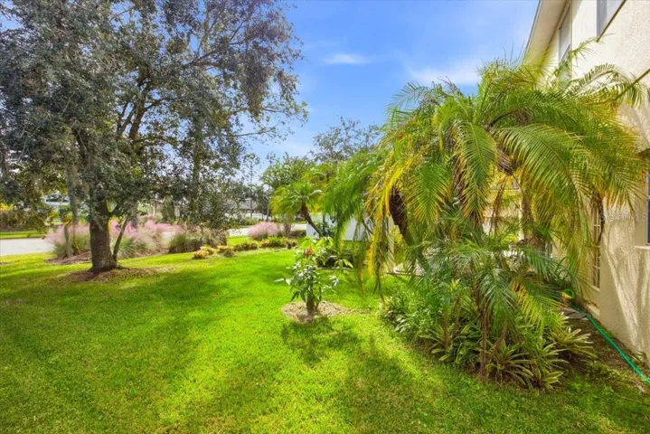 Back Yard1