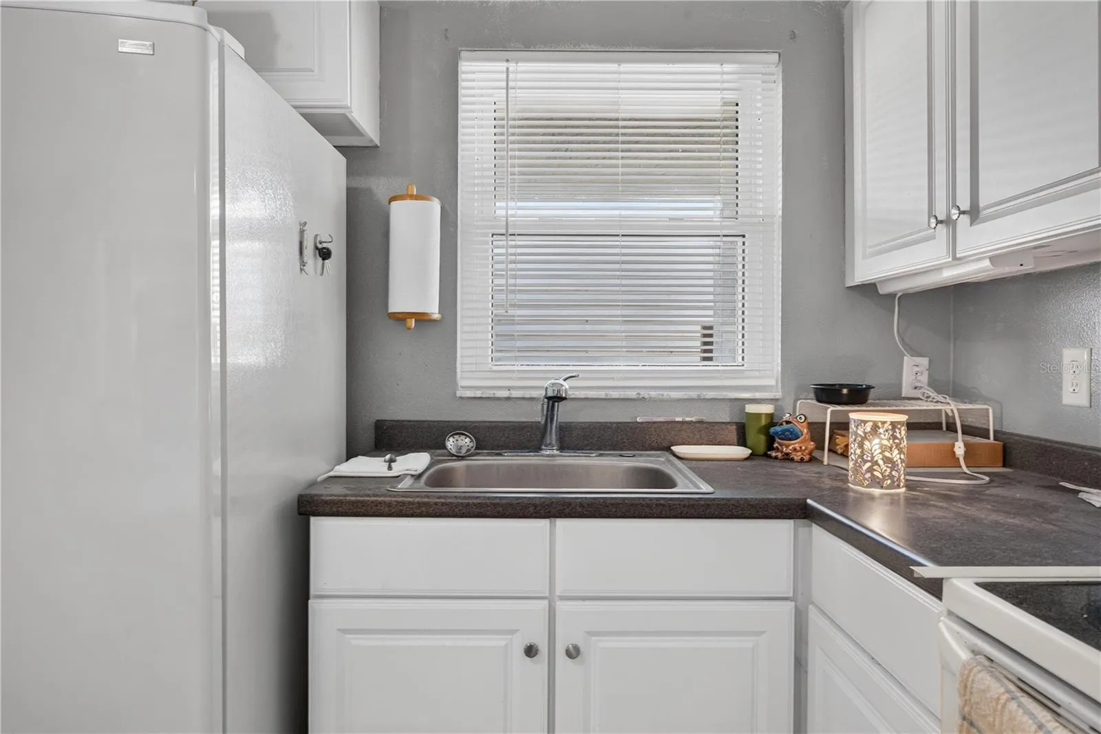 in-law suite Kitchen counter