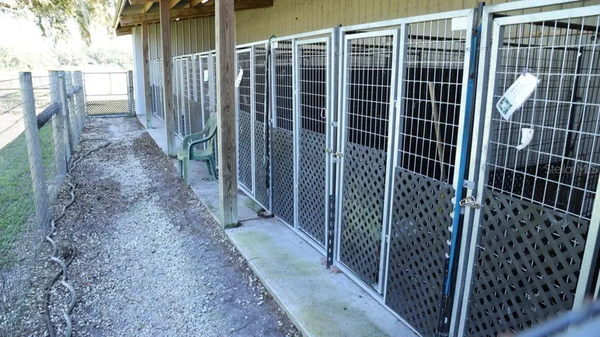 KENNELS