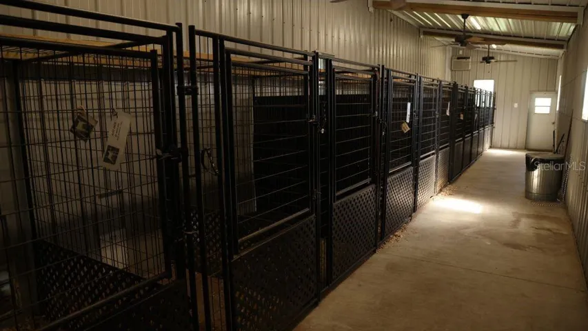 KENNELS