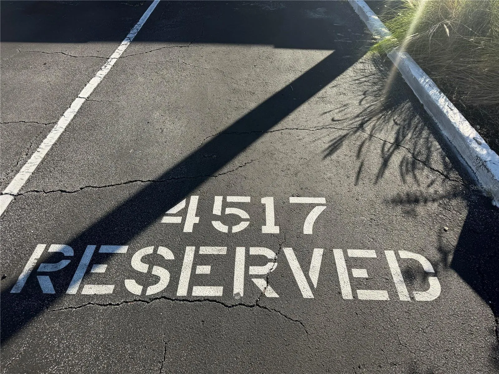 Parking space, don’t worry there is tons of guest parking