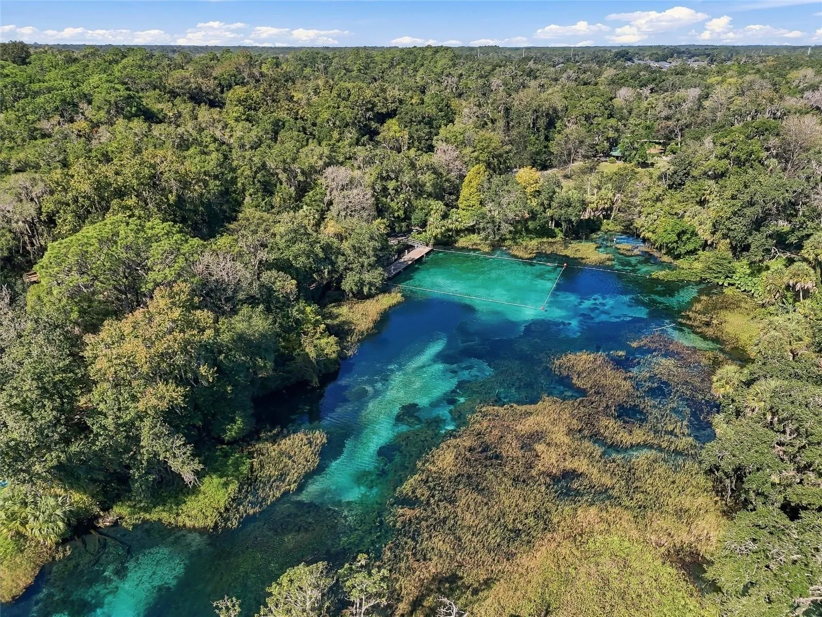 Rainbow Springs