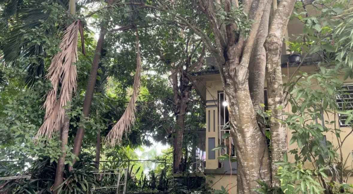Mature trees on the grounds