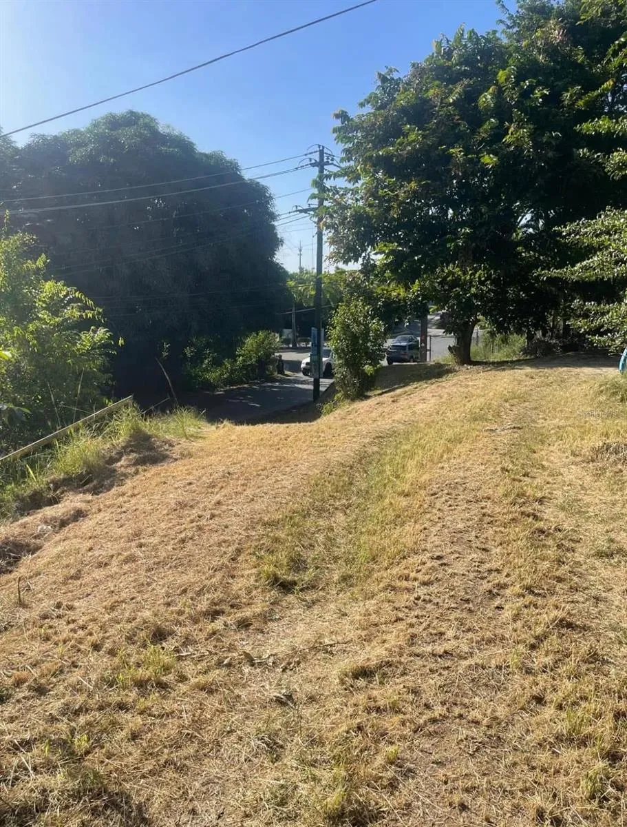 Open lawn with street frontage