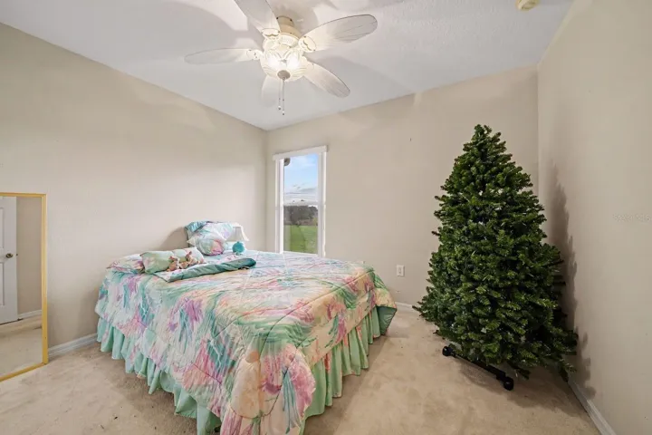 Spacious Bedroom with Bright Windows & Ceiling Fan