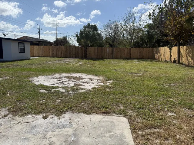 Back yard