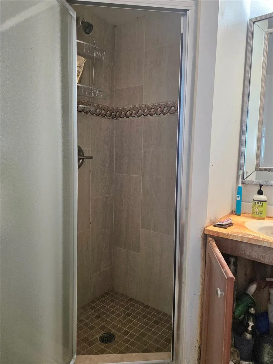 Shower in En Suite bath